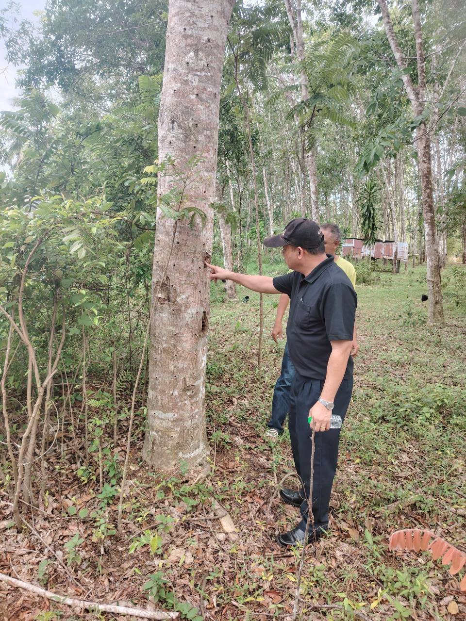 title - ส.ป.ก. ลงพื้นที่ตรวจเยี่ยมและติดตามการดำเนินงานกิจการวิสาหกิจชุมชนไม้กฤษณาแปรรูป